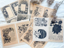 Load image into Gallery viewer, Junk Journal Page Pack- botanical