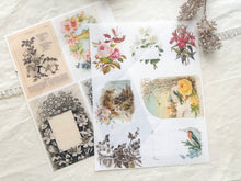 Load image into Gallery viewer, Junk Journal Page Pack- botanical
