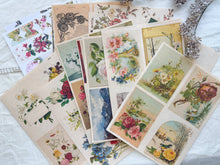Load image into Gallery viewer, Junk Journal Page Pack- botanical