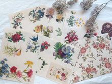 Load image into Gallery viewer, Junk Journal Page Pack- botanical