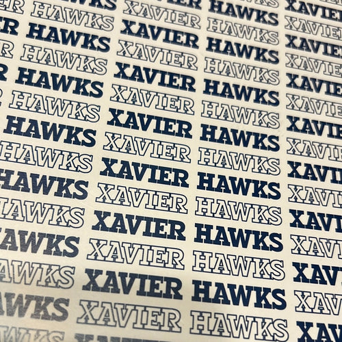 Xavier hawks paper