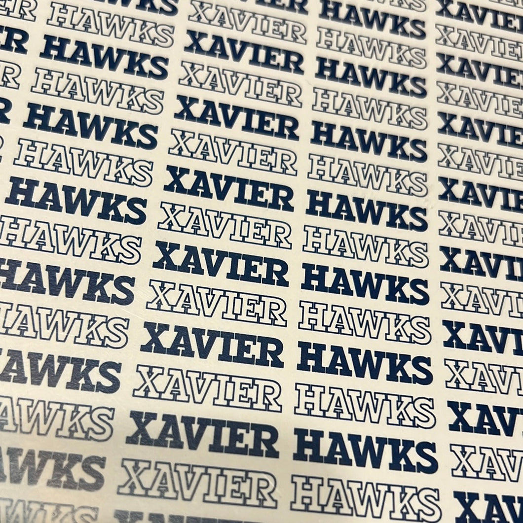 Xavier hawks paper