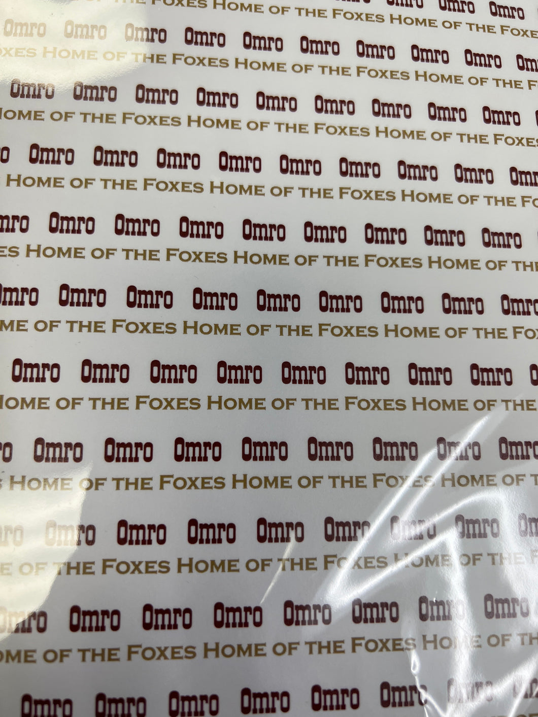 Omro foxes paper