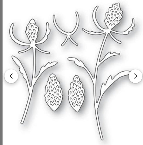 Thistle stem die set by memory box