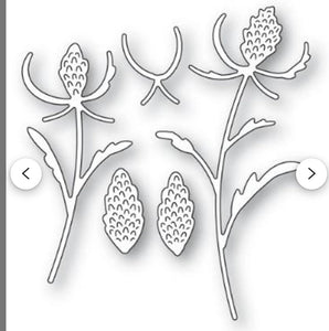 Thistle stem die set by memory box