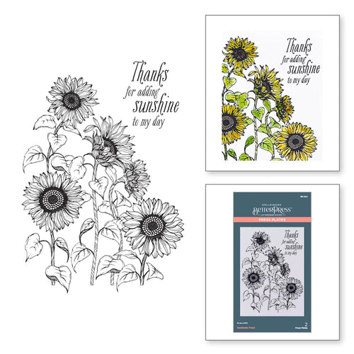 Sunflower field press plates by spellbinders