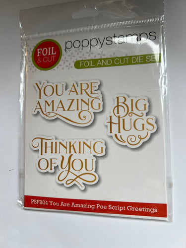 Birthday wishes die hot foil plate by poppy