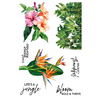 Weekender Life's a Jungle Rub-On Sheets by Spellbinders