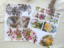 Load image into Gallery viewer, Junk Journal Page Pack- botanical