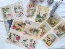 Load image into Gallery viewer, Junk Journal Page Pack- botanical