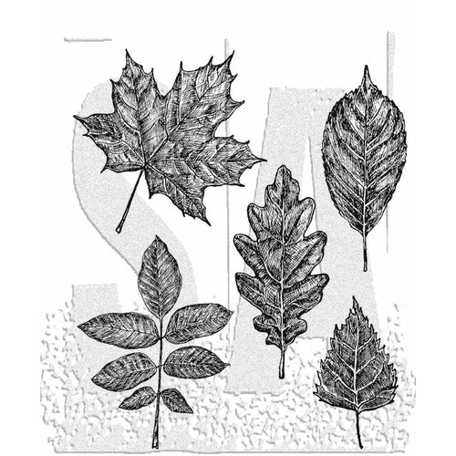 Sketchy leaves stamp by tim holtz & Stampers anonymous