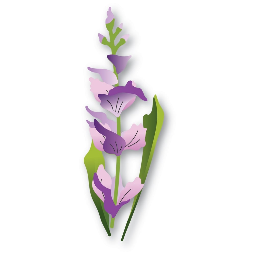 Whimsical gladiola die by Memory box