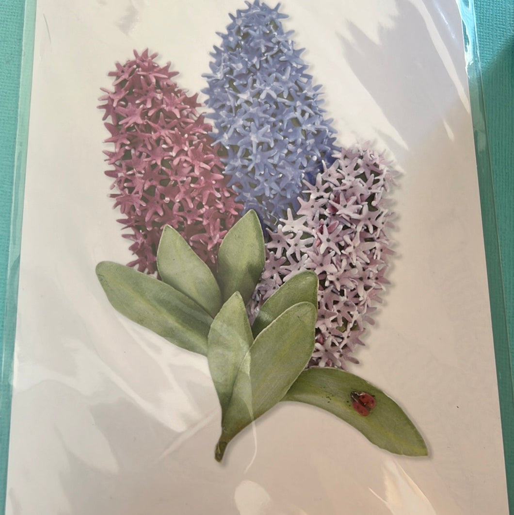 Hyacinth die by spellbinders