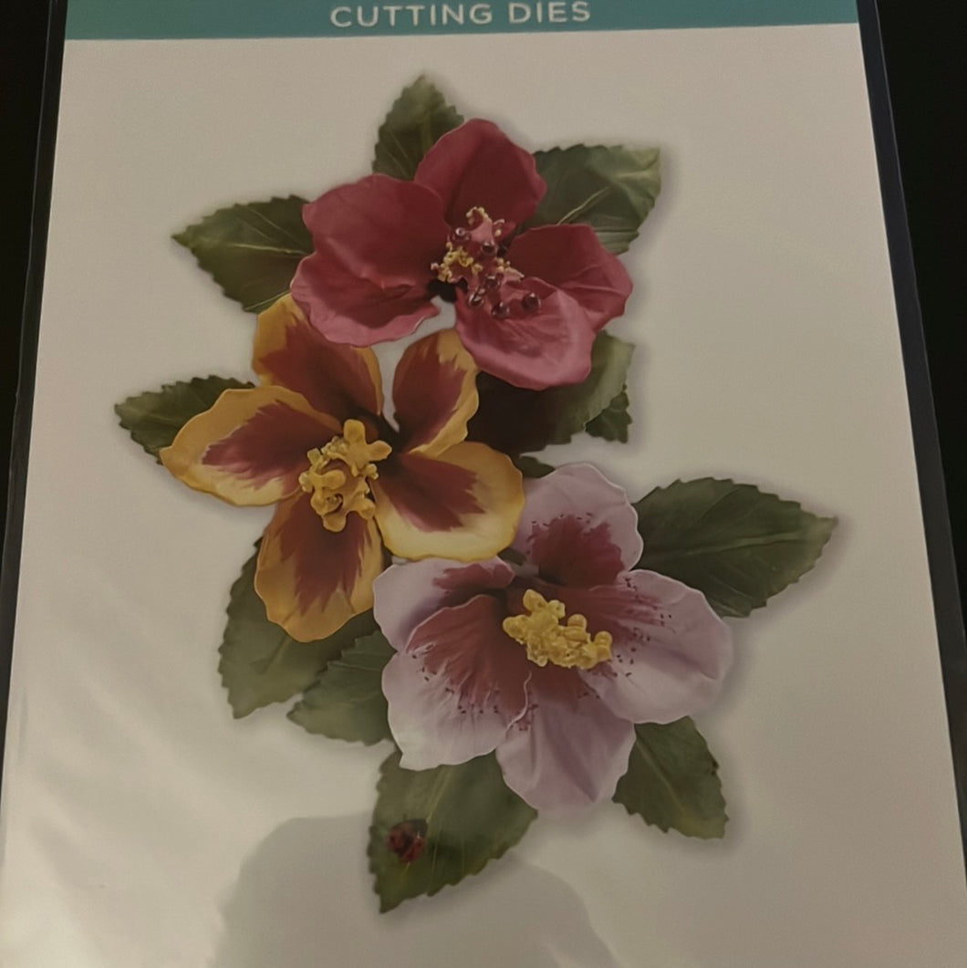 hibiscus die by spellbinders