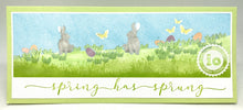 Load image into Gallery viewer, bunnies in grass slimline stamp by IO